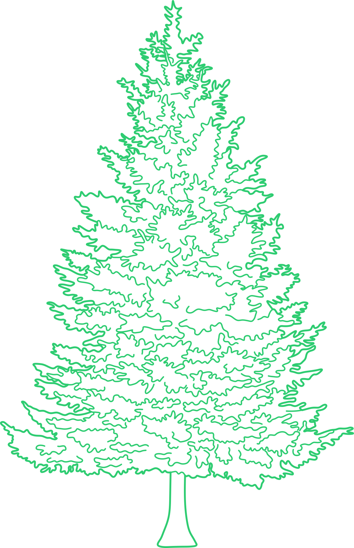 Plants Conifers Contour Svg Vector Free Vectors
